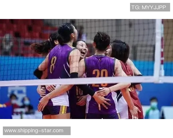 上海排球队比赛经验引发热议球迷观点各异讨论激烈