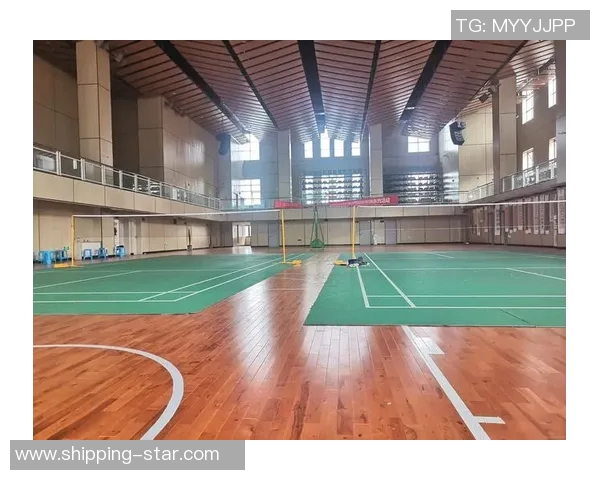 羽毛球的魅力与策略成都羽毛球队的阵地战全景揭秘 羽毛球的魅力与策略成都羽毛球队的阵地战全景揭秘